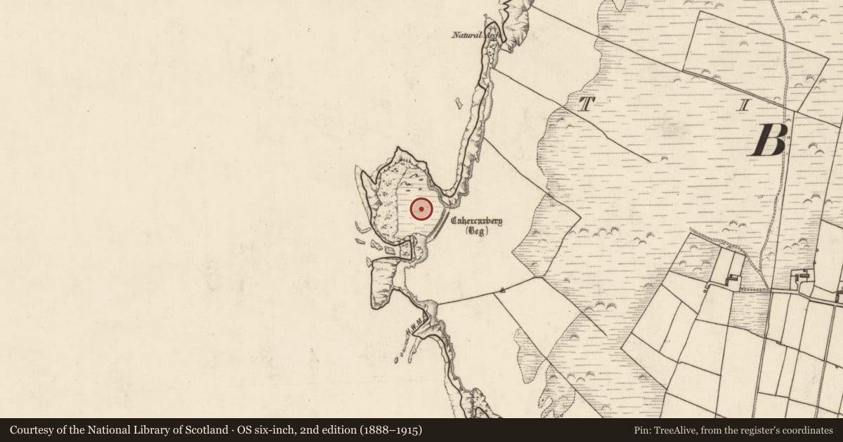 Ordnance Survey six-inch map, 2nd edition (1888–1915) covering the location of Promontory fort - coastal, Tiduff, County Kerry, with a pin at the register's coordinates