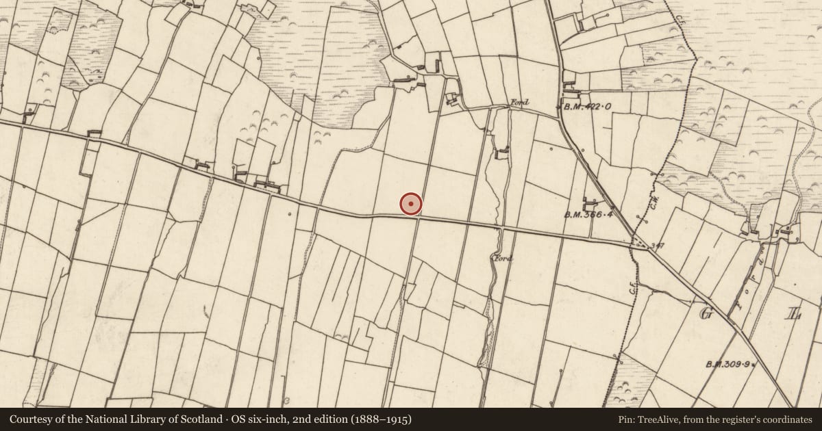 Ordnance Survey six-inch map, 2nd edition (1888–1915) covering the location of Standing stone, Tiduff, County Kerry, with a pin at the register's coordinates