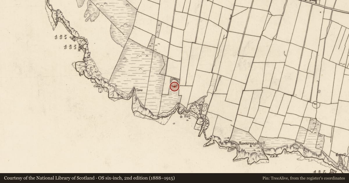 Ordnance Survey six-inch map, 2nd edition (1888–1915) covering the location of Souterrain, Tiduff, County Kerry, with a pin at the register's coordinates