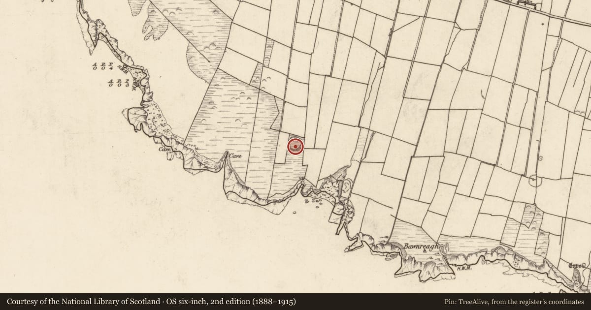 Ordnance Survey six-inch map, 2nd edition (1888–1915) covering the location of House - indeterminate date, Tiduff, County Kerry, with a pin at the register's coordinates