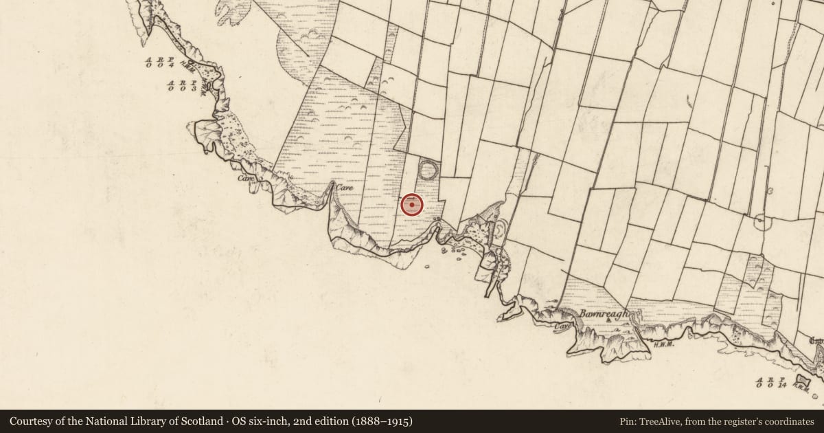 Ordnance Survey six-inch map, 2nd edition (1888–1915) covering the location of House - indeterminate date, Tiduff, County Kerry, with a pin at the register's coordinates