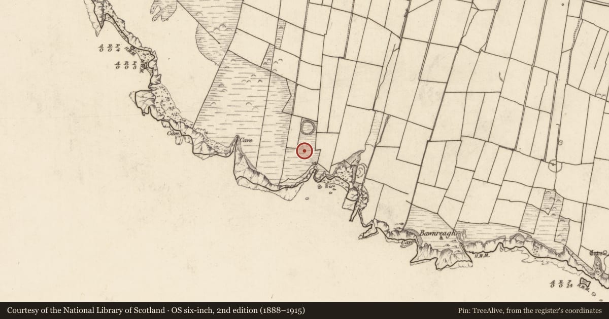 Ordnance Survey six-inch map, 2nd edition (1888–1915) covering the location of Hut site, Tiduff, County Kerry, with a pin at the register's coordinates