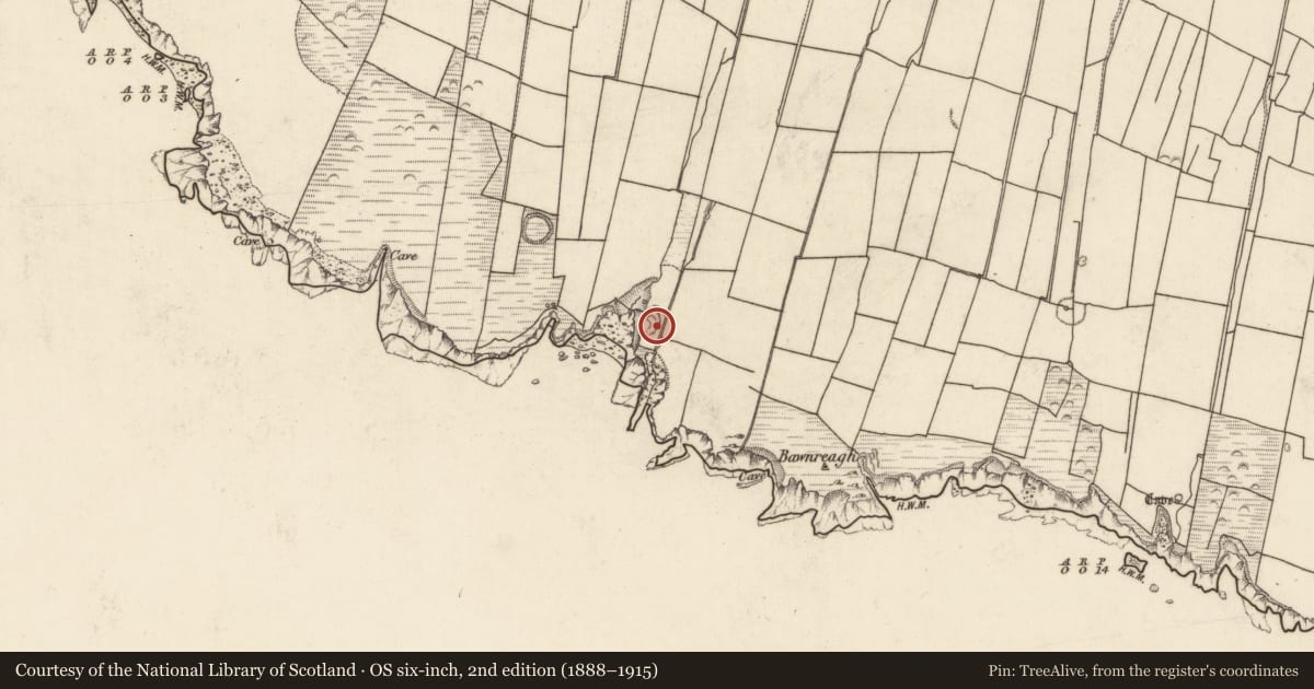 Ordnance Survey six-inch map, 2nd edition (1888–1915) covering the location of Ringfort - cashel, Tiduff, County Kerry, with a pin at the register's coordinates