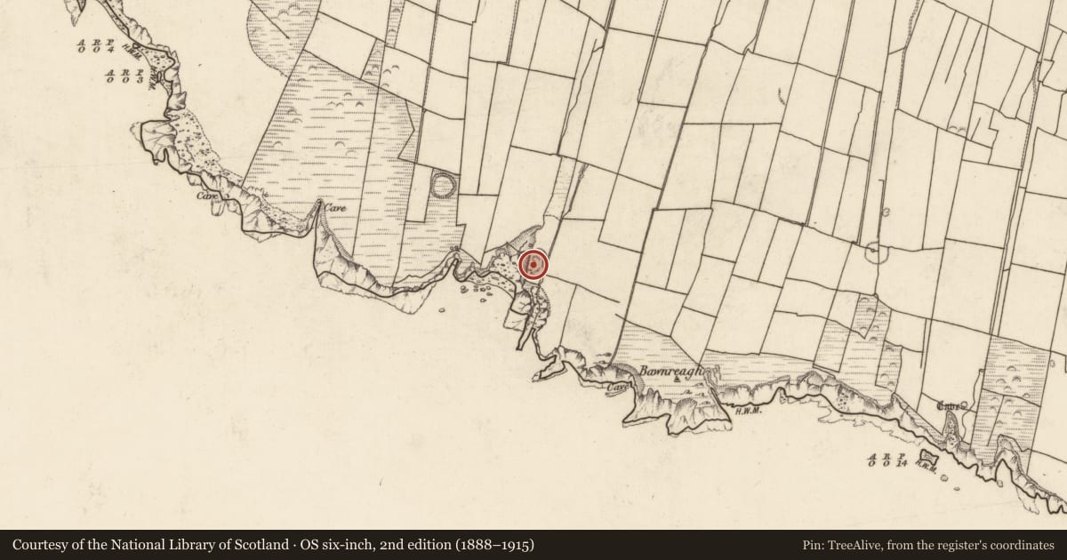 Ordnance Survey six-inch map, 2nd edition (1888–1915) covering the location of Clochan, Tiduff, County Kerry, with a pin at the register's coordinates