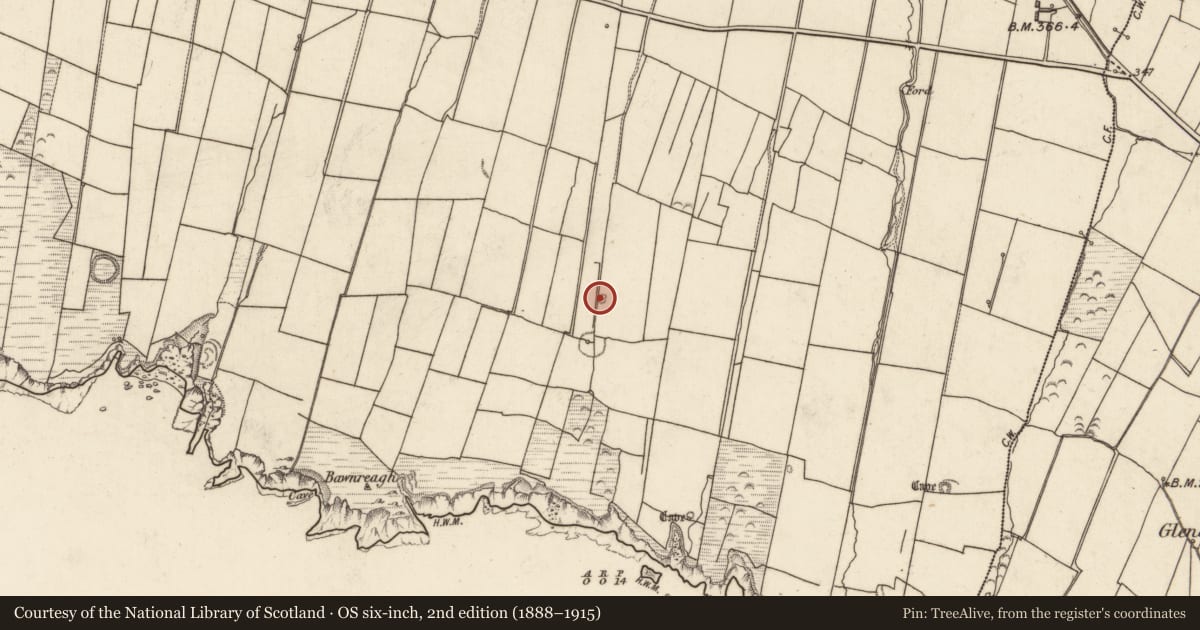 Ordnance Survey six-inch map, 2nd edition (1888–1915) covering the location of Enclosure, Tiduff, County Kerry, with a pin at the register's coordinates