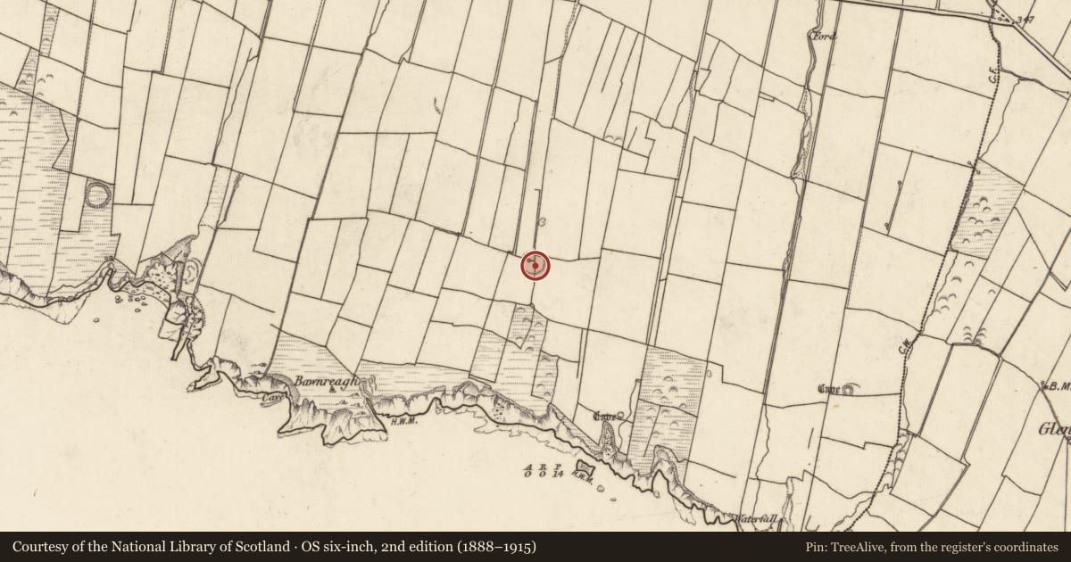 Ordnance Survey six-inch map, 2nd edition (1888–1915) covering the location of Enclosure, Tiduff, County Kerry, with a pin at the register's coordinates
