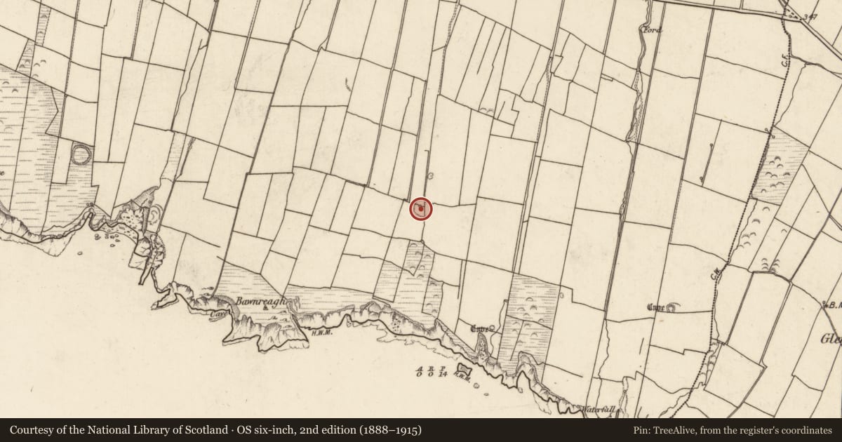 Ordnance Survey six-inch map, 2nd edition (1888–1915) covering the location of Hut site, Tiduff, County Kerry, with a pin at the register's coordinates