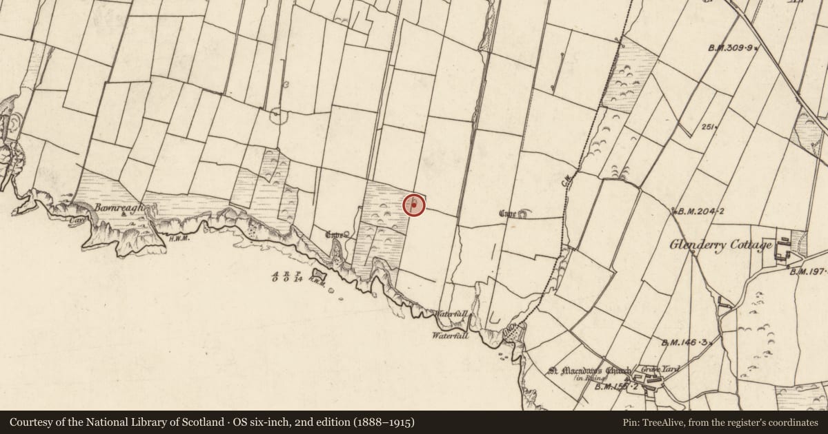 Ordnance Survey six-inch map, 2nd edition (1888–1915) covering the location of Ringfort - cashel, Tiduff, County Kerry, with a pin at the register's coordinates