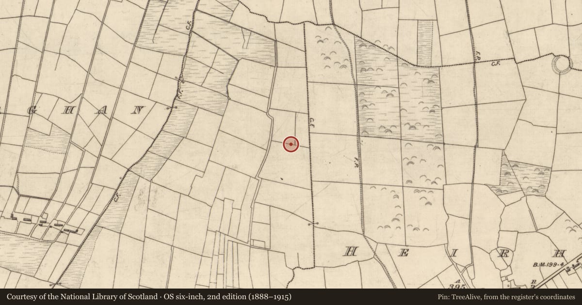 Ordnance Survey six-inch map, 2nd edition (1888–1915) covering the location of Ringfort - rath, Glenlea, County Kerry, with a pin at the register's coordinates