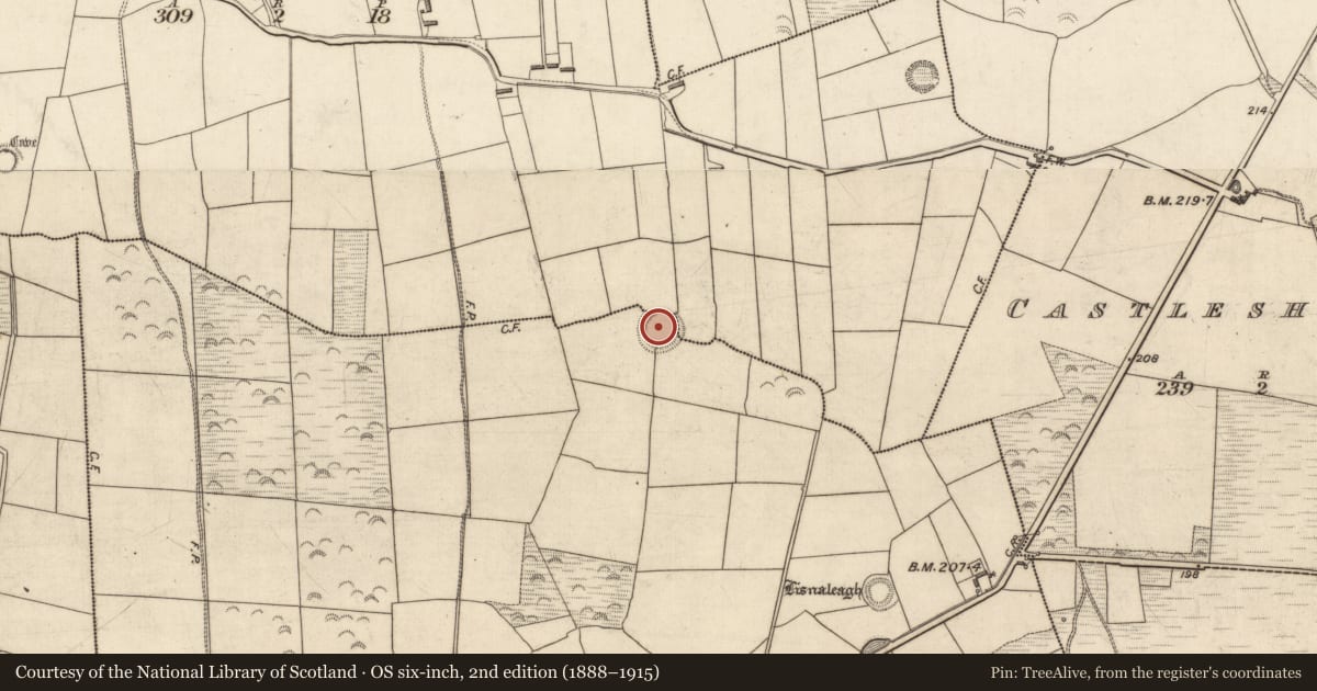 Ordnance Survey six-inch map, 2nd edition (1888–1915) covering the location of Ringfort - rath, Cloghaneleesh, Heirhill, County Kerry, with a pin at the register's coordinates