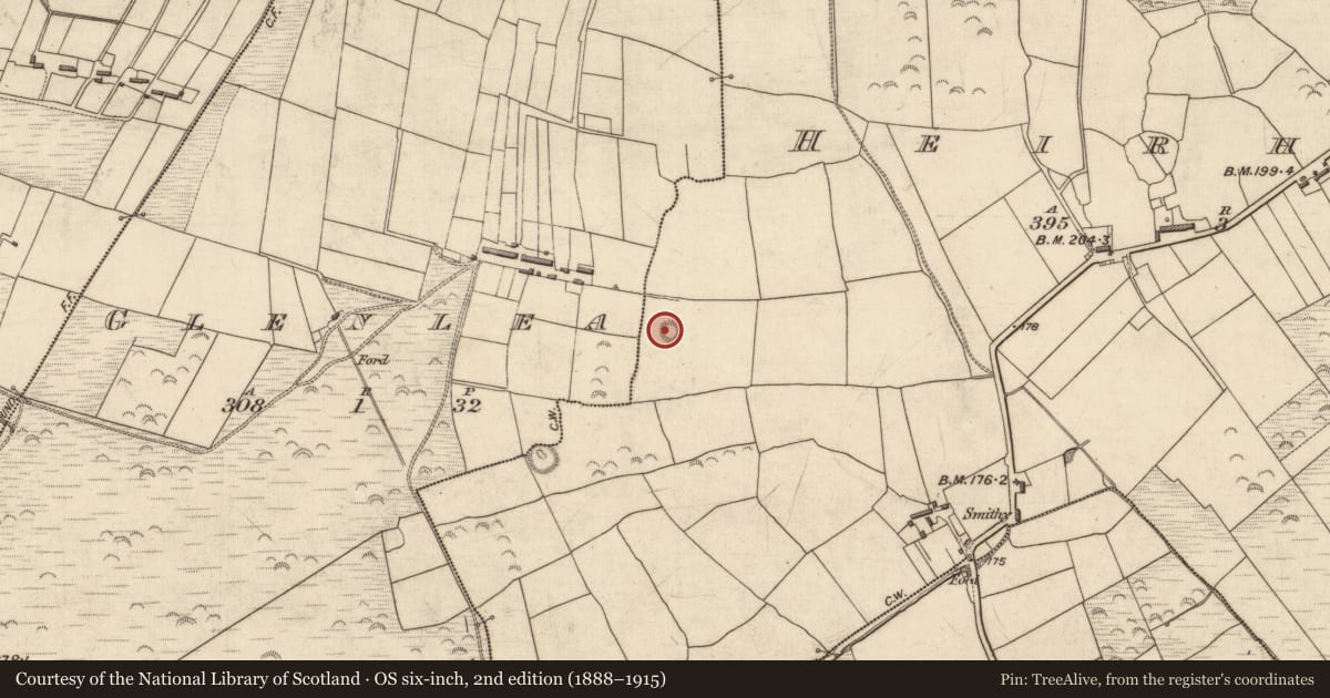 Ordnance Survey six-inch map, 2nd edition (1888–1915) covering the location of Hut site, Heirhill, County Kerry, with a pin at the register's coordinates