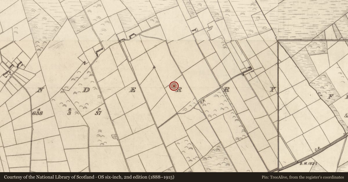 Ordnance Survey six-inch map, 2nd edition (1888–1915) covering the location of Ringfort - rath, Cleanderry, County Kerry, with a pin at the register's coordinates