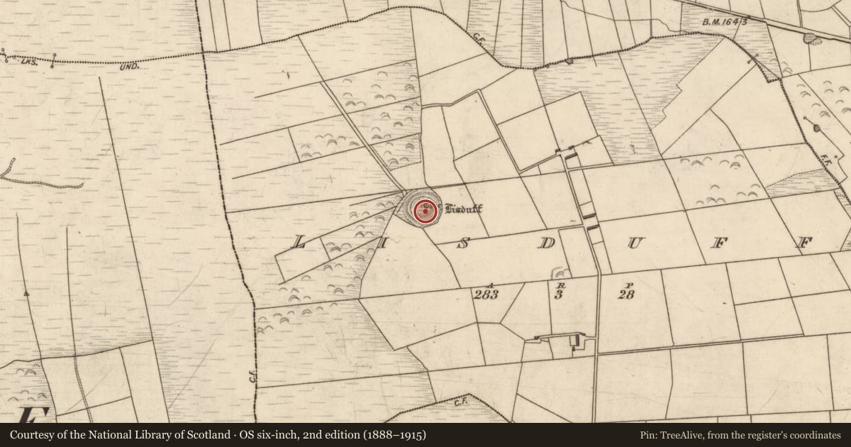 Ordnance Survey six-inch map, 2nd edition (1888–1915) covering the location of Souterrain, Lisduff, County Kerry, with a pin at the register's coordinates