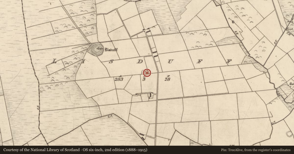 Ordnance Survey six-inch map, 2nd edition (1888–1915) covering the location of Ringfort - rath, Lisduff, County Kerry, with a pin at the register's coordinates