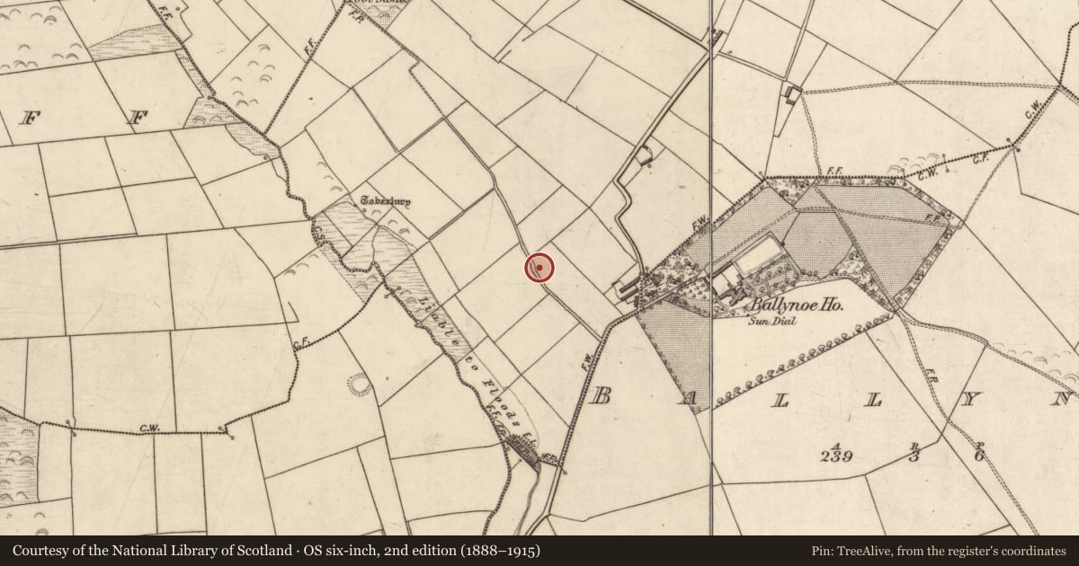 Ordnance Survey six-inch map, 2nd edition (1888–1915) covering the location of Enclosure, Feeans, County Kerry, with a pin at the register's coordinates