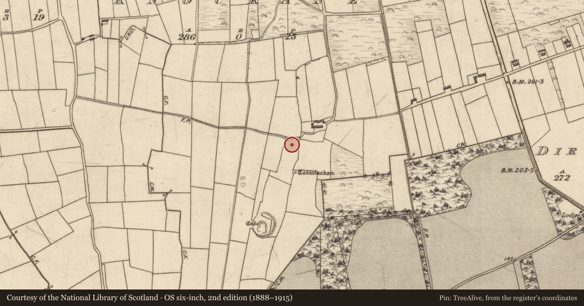 Ordnance Survey six-inch map, 2nd edition (1888–1915) covering the location of Bullaun stone, Knockane, County Kerry, with a pin at the register's coordinates