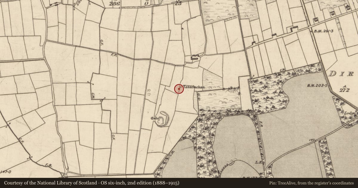 Ordnance Survey six-inch map, 2nd edition (1888–1915) covering the location of Bullaun stone, Knockane, County Kerry, with a pin at the register's coordinates