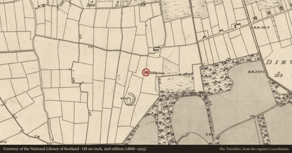 Ordnance Survey six-inch map, 2nd edition (1888–1915) covering the location of Enclosure, Knockane, County Kerry, with a pin at the register's coordinates