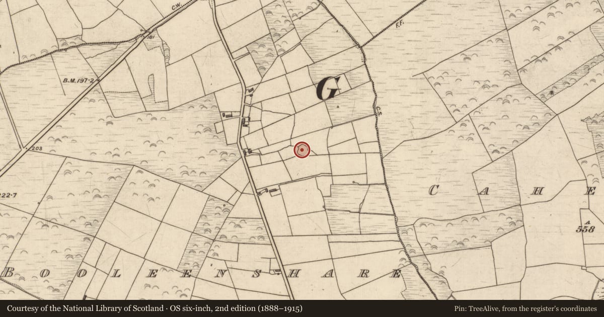 Ordnance Survey six-inch map, 2nd edition (1888–1915) covering the location of Ringfort - rath, Booleenshare, County Kerry, with a pin at the register's coordinates