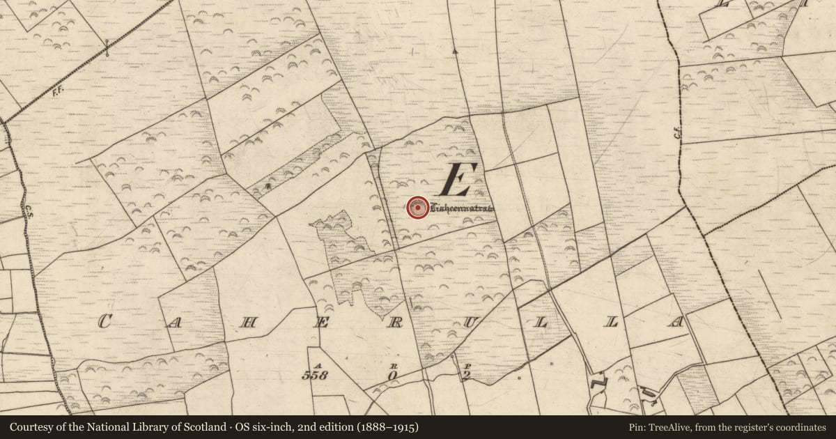 Ordnance Survey six-inch map, 2nd edition (1888–1915) covering the location of Ringfort - rath, Caherulla, County Kerry, with a pin at the register's coordinates