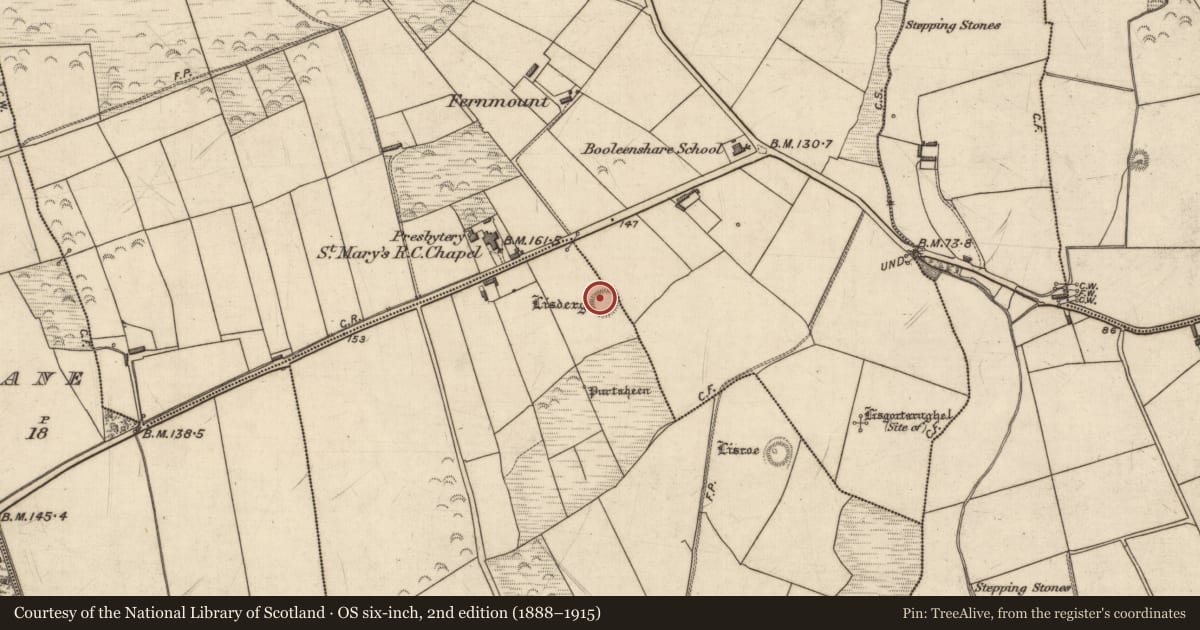 Ordnance Survey six-inch map, 2nd edition (1888–1915) covering the location of Ringfort - rath, Dromgower, County Kerry, with a pin at the register's coordinates