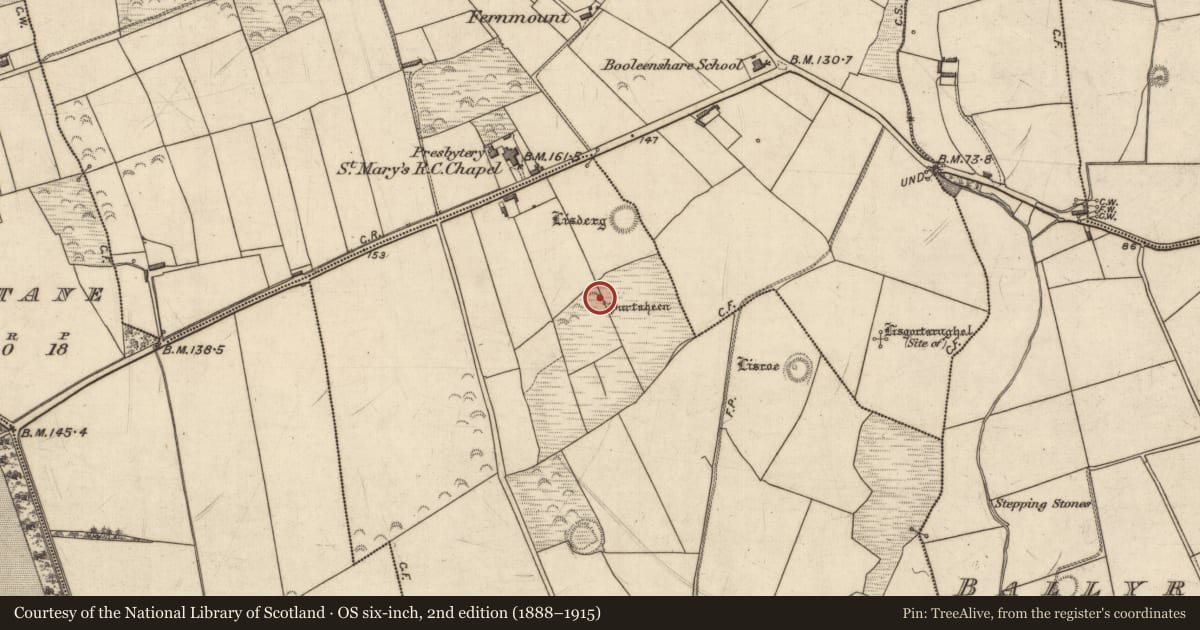 Ordnance Survey six-inch map, 2nd edition (1888–1915) covering the location of Ritual site - holy well, Dromgower, County Kerry, with a pin at the register's coordinates