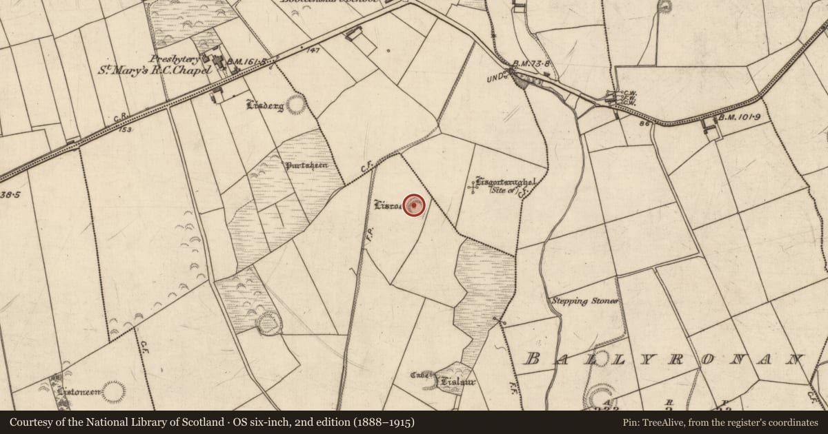 Ordnance Survey six-inch map, 2nd edition (1888–1915) covering the location of Ringfort - rath, Dromgower, County Kerry, with a pin at the register's coordinates