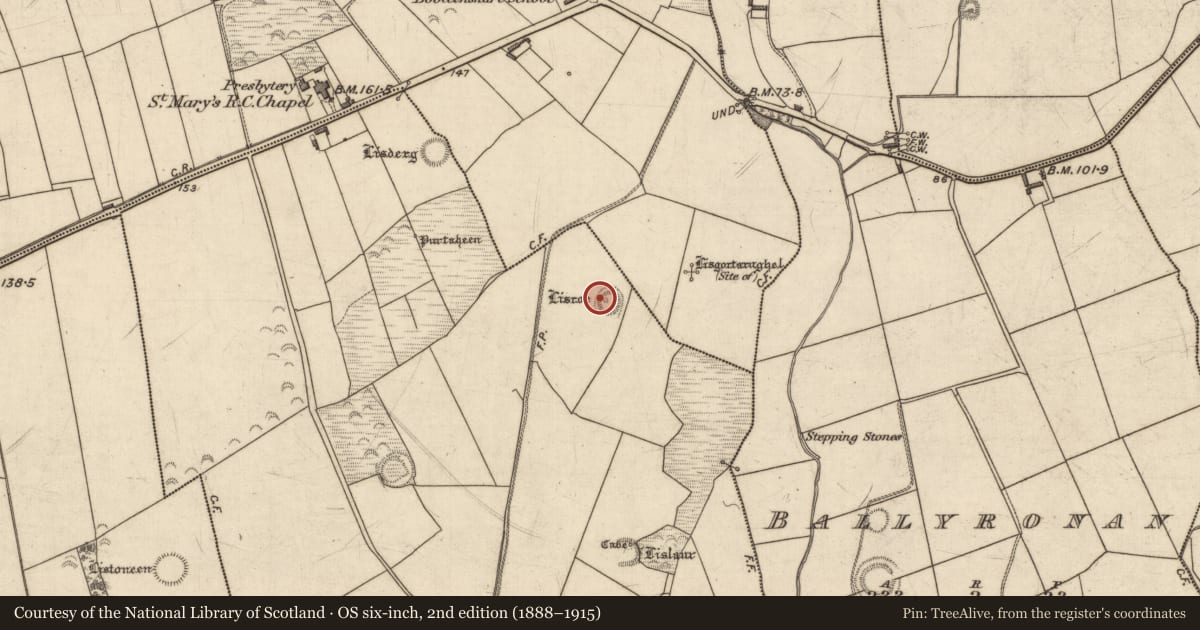 Ordnance Survey six-inch map, 2nd edition (1888–1915) covering the location of Souterrain, Dromgower, County Kerry, with a pin at the register's coordinates