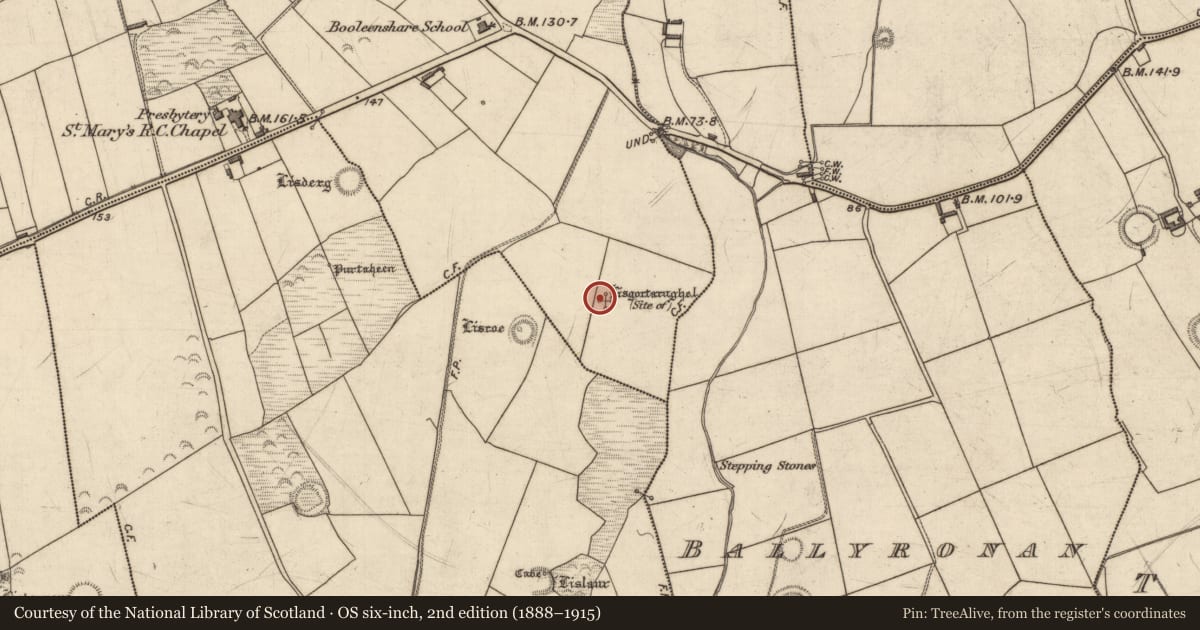 Ordnance Survey six-inch map, 2nd edition (1888–1915) covering the location of Enclosure, Booleenshare, County Kerry, with a pin at the register's coordinates