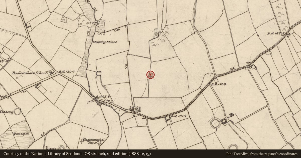 Ordnance Survey six-inch map, 2nd edition (1888–1915) covering the location of Souterrain, Caherulla, County Kerry, with a pin at the register's coordinates