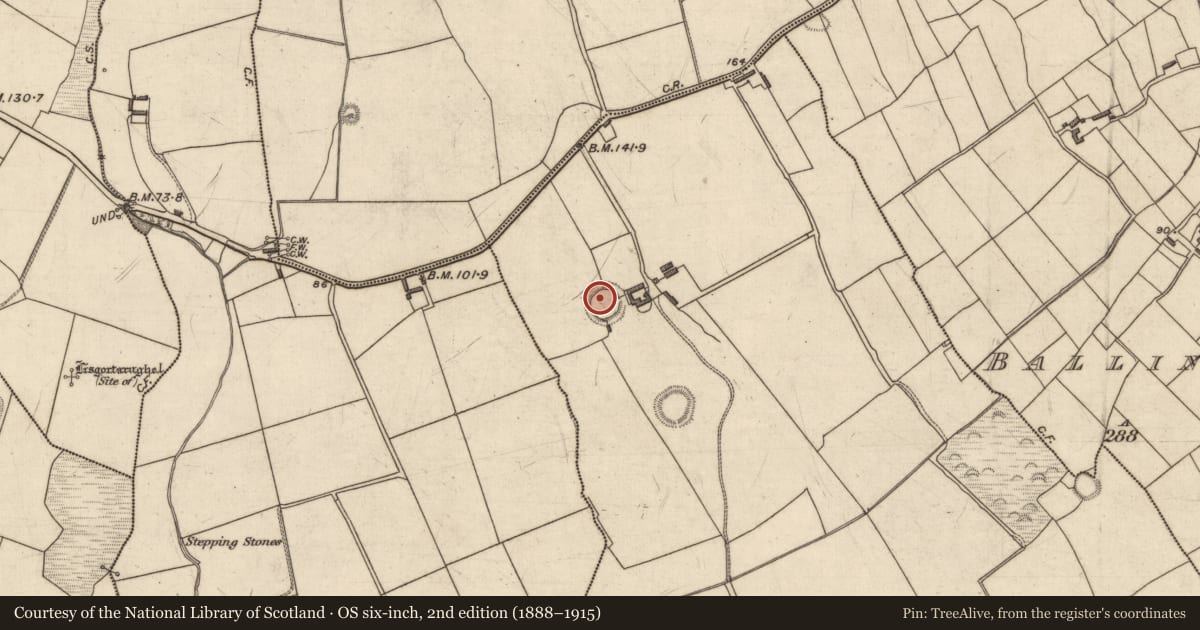 Ordnance Survey six-inch map, 2nd edition (1888–1915) covering the location of Ringfort - rath, Toanreagh, County Kerry, with a pin at the register's coordinates