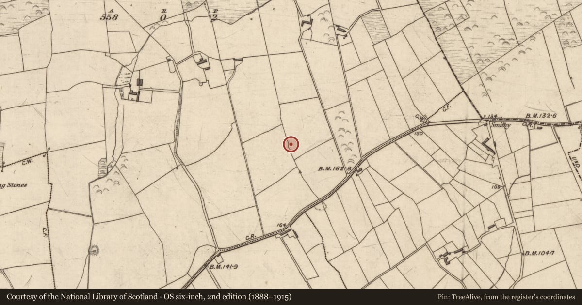 Ordnance Survey six-inch map, 2nd edition (1888–1915) covering the location of Ringfort - rath, Caherulla, County Kerry, with a pin at the register's coordinates