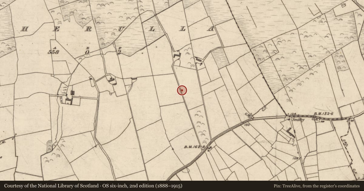 Ordnance Survey six-inch map, 2nd edition (1888–1915) covering the location of Ringfort - rath, Caherulla, County Kerry, with a pin at the register's coordinates