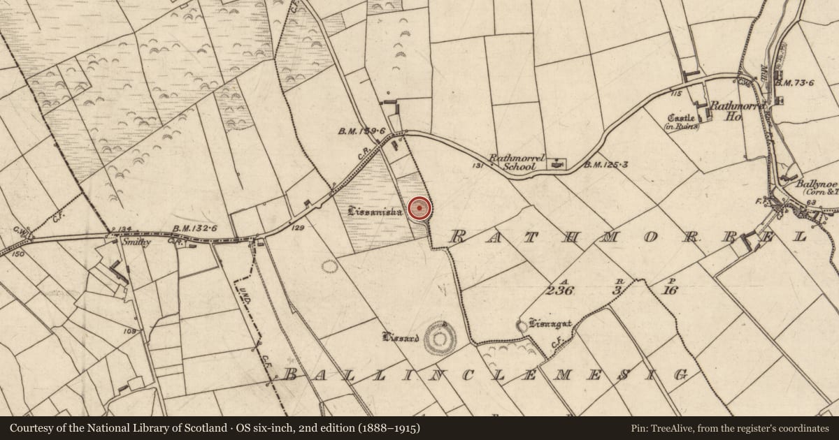 Ordnance Survey six-inch map, 2nd edition (1888–1915) covering the location of Ringfort - rath, Ballinclemesig, County Kerry, with a pin at the register's coordinates