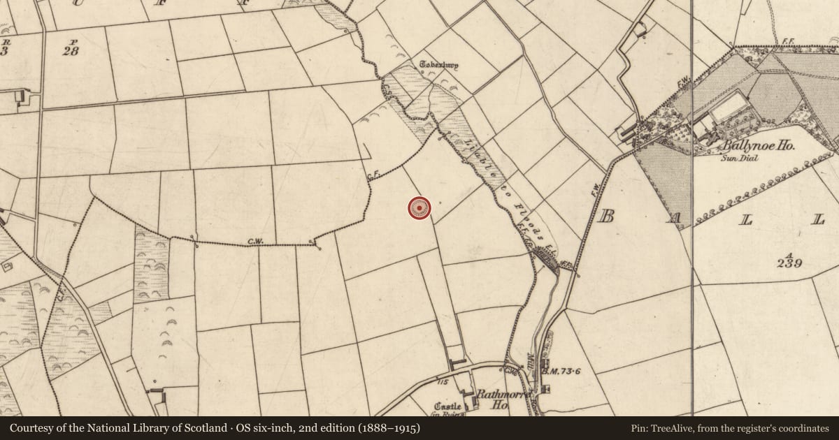 Ordnance Survey six-inch map, 2nd edition (1888–1915) covering the location of Ringfort - rath, Rathmorrel, County Kerry, with a pin at the register's coordinates