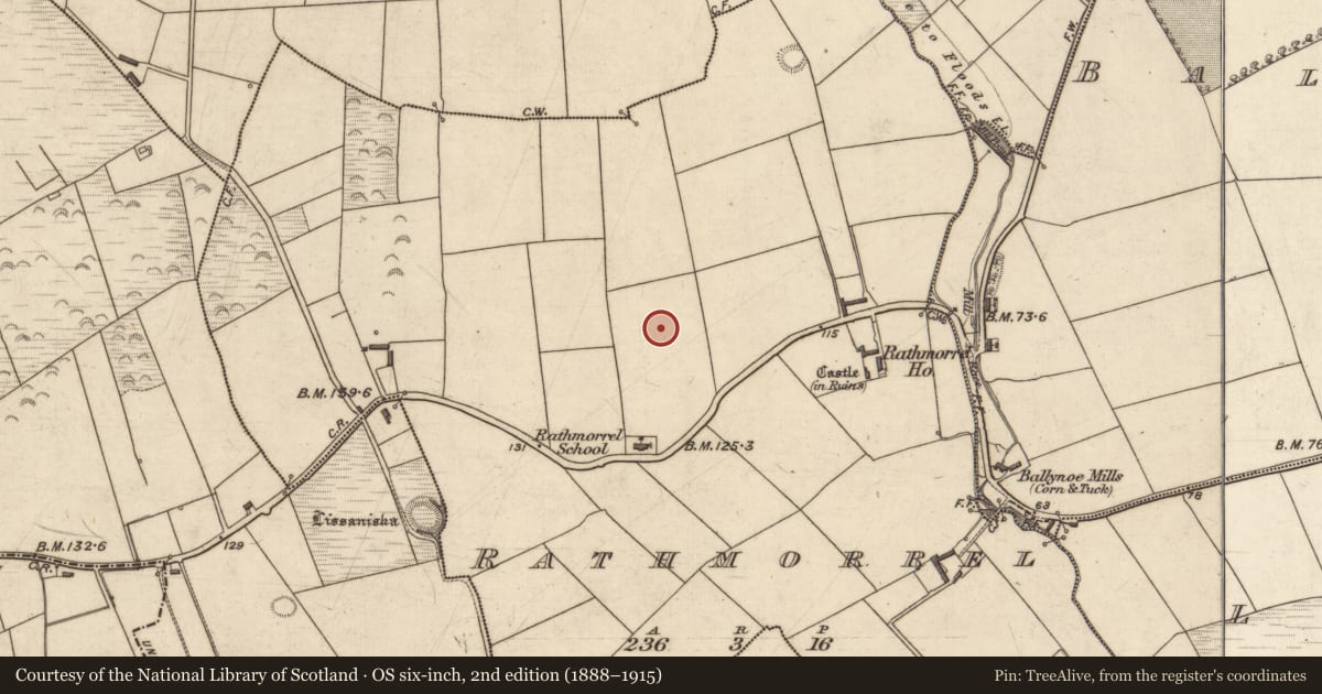Ordnance Survey six-inch map, 2nd edition (1888–1915) covering the location of Ringfort - rath, Rathmorrel, County Kerry, with a pin at the register's coordinates