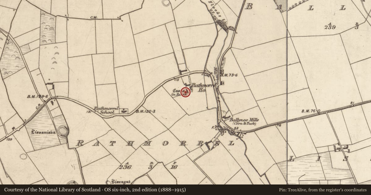 Ordnance Survey six-inch map, 2nd edition (1888–1915) covering the location of Castle - unclassified, Rathmorrel, County Kerry, with a pin at the register's coordinates