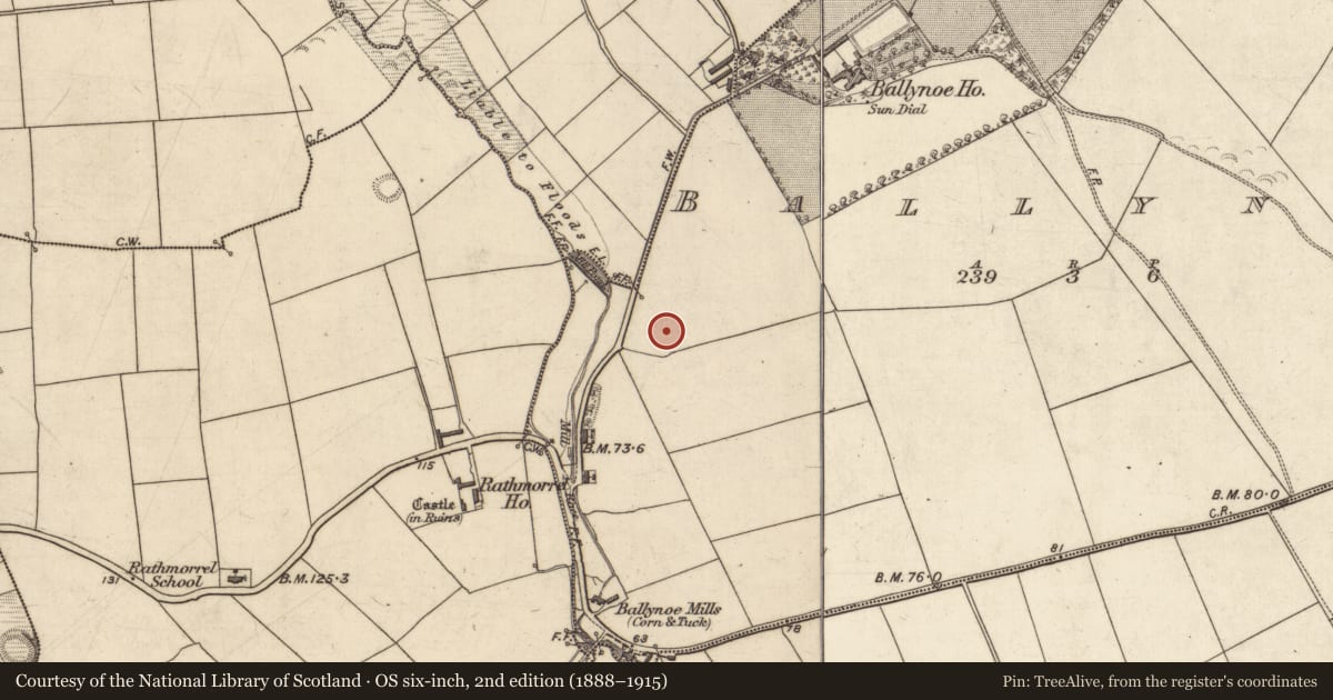 Ordnance Survey six-inch map, 2nd edition (1888–1915) covering the location of Ringfort - rath, Ballynoe, County Kerry, with a pin at the register's coordinates