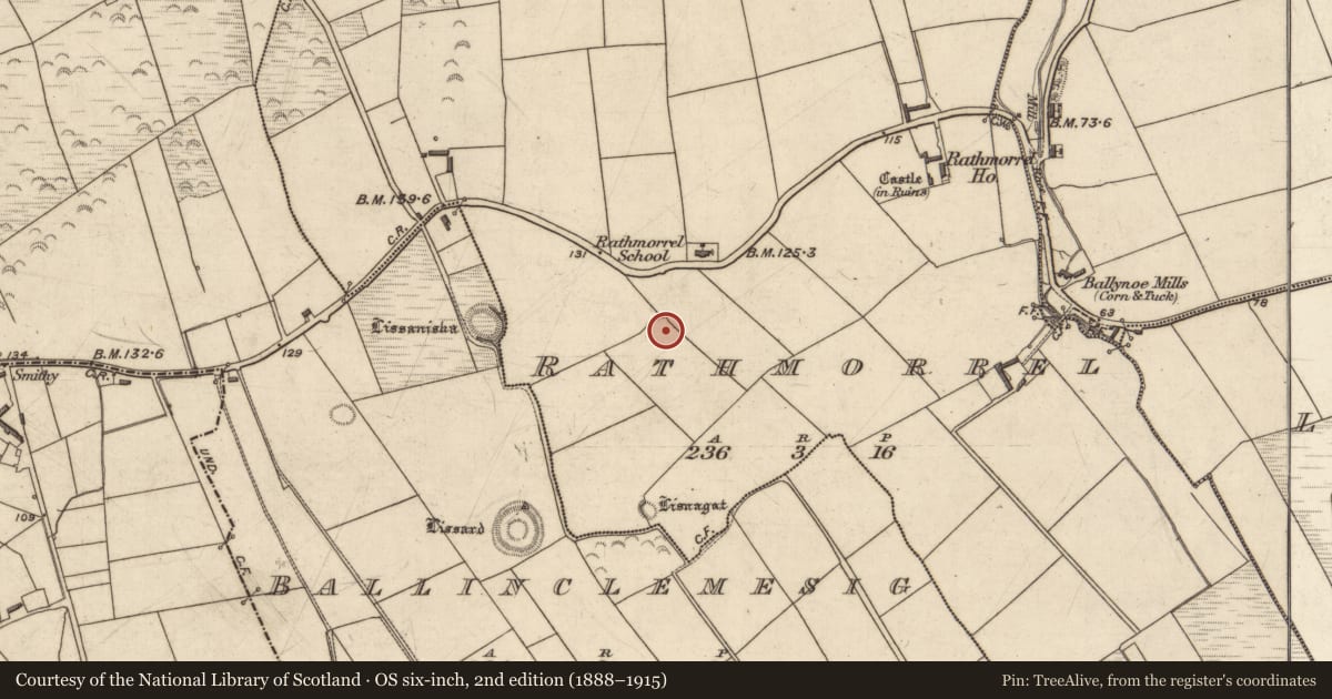 Ordnance Survey six-inch map, 2nd edition (1888–1915) covering the location of Ringfort - rath, Rathmorrel, County Kerry, with a pin at the register's coordinates