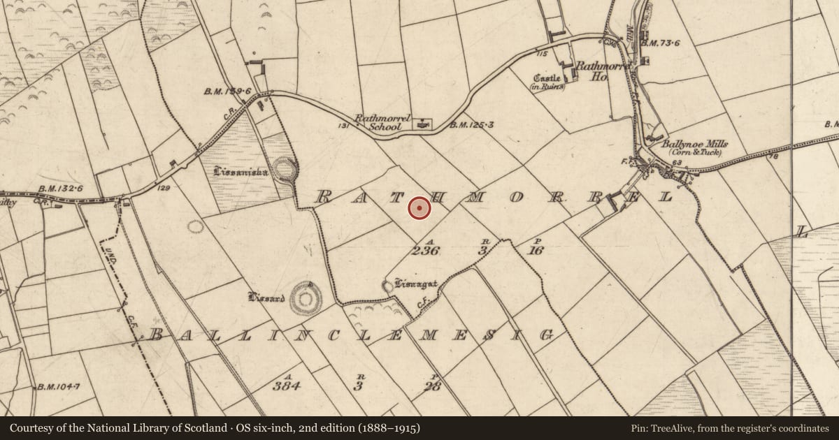 Ordnance Survey six-inch map, 2nd edition (1888–1915) covering the location of Ringfort - rath, Rathmorrel, County Kerry, with a pin at the register's coordinates