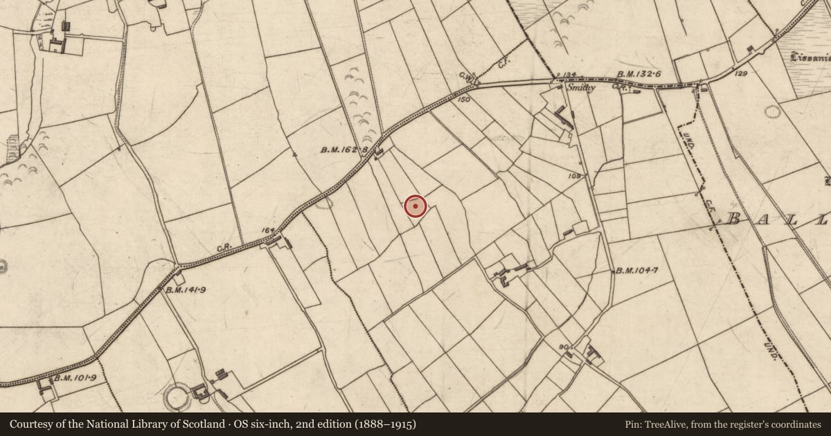 Ordnance Survey six-inch map, 2nd edition (1888–1915) covering the location of Ringfort - rath, Ballinclemesig, County Kerry, with a pin at the register's coordinates