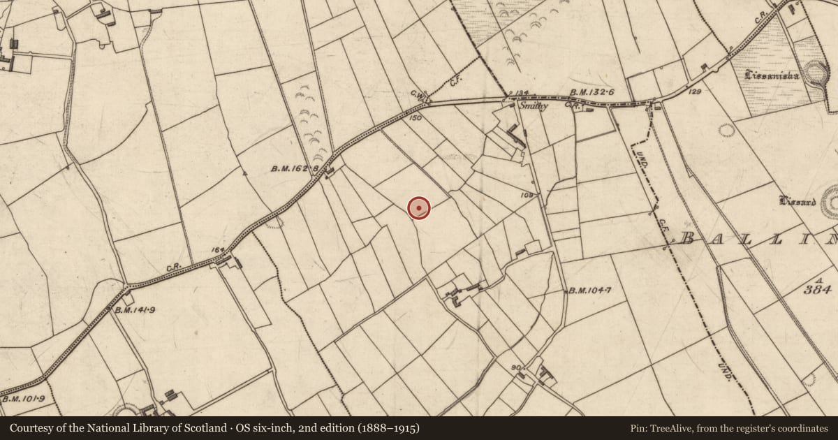 Ordnance Survey six-inch map, 2nd edition (1888–1915) covering the location of Ringfort - rath, Ballinclemesig, County Kerry, with a pin at the register's coordinates