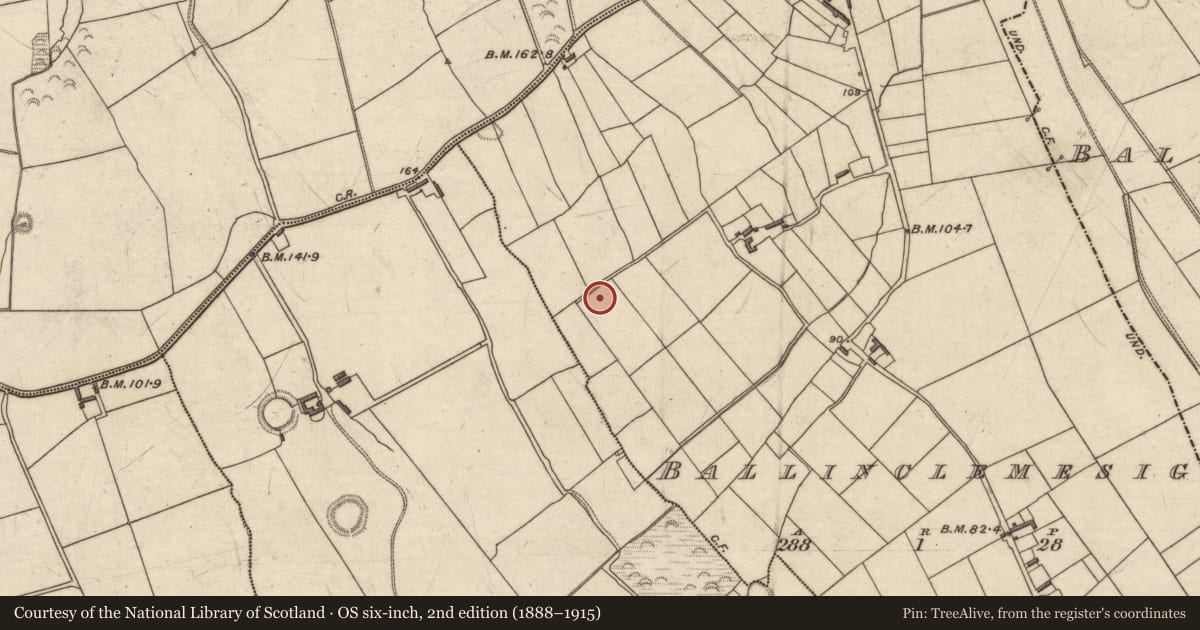 Ordnance Survey six-inch map, 2nd edition (1888–1915) covering the location of Ringfort - rath, Ballinclemesig, County Kerry, with a pin at the register's coordinates