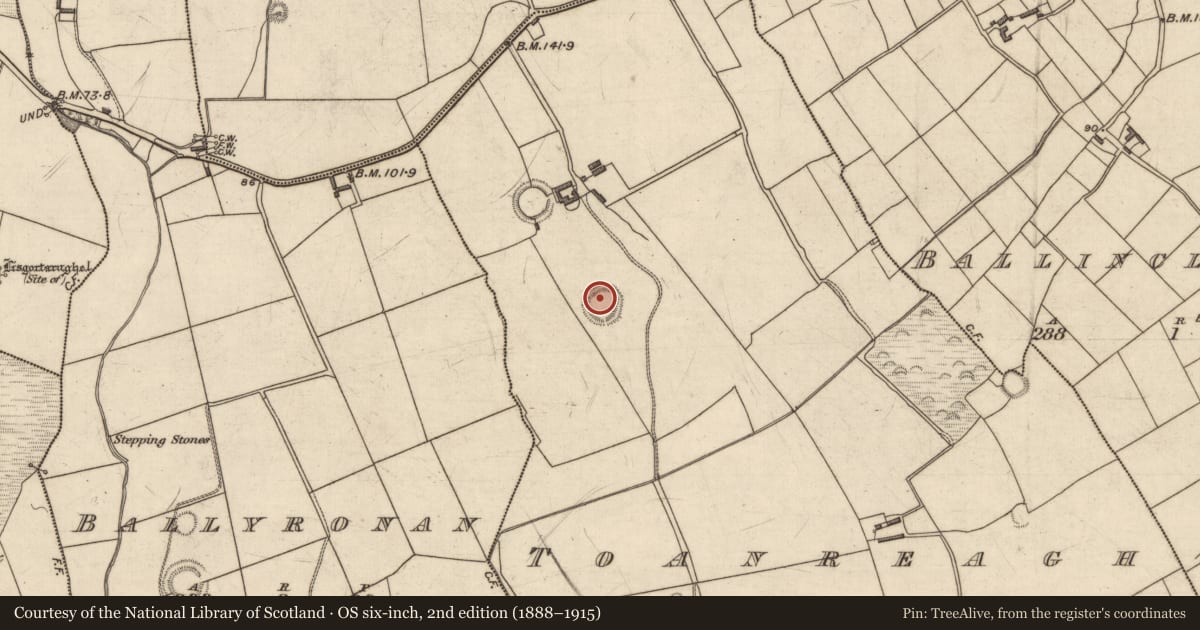 Ordnance Survey six-inch map, 2nd edition (1888–1915) covering the location of Ringfort - rath, Toanreagh, County Kerry, with a pin at the register's coordinates