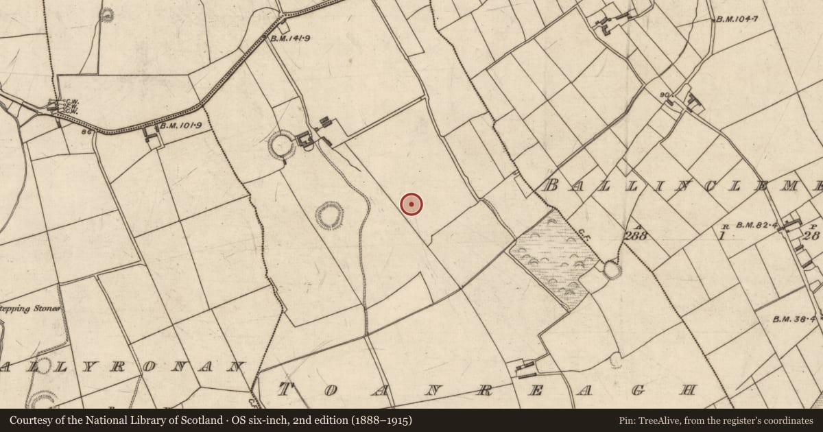 Ordnance Survey six-inch map, 2nd edition (1888–1915) covering the location of Enclosure, Toanreagh, County Kerry, with a pin at the register's coordinates