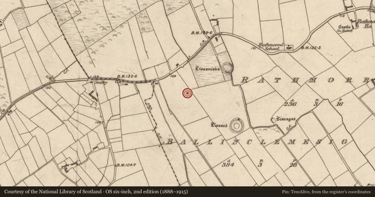 Ordnance Survey six-inch map, 2nd edition (1888–1915) covering the location of Ringfort - rath, Ballinclemesig, County Kerry, with a pin at the register's coordinates