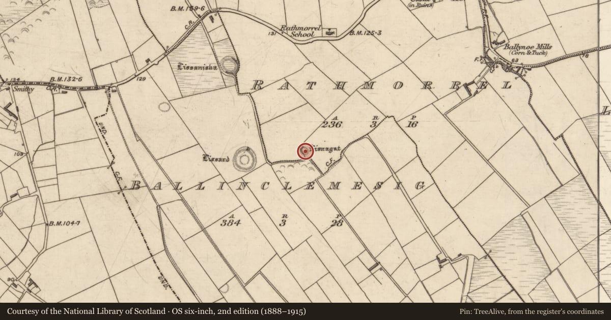 Ordnance Survey six-inch map, 2nd edition (1888–1915) covering the location of Ringfort - rath, Rathmorrel, County Kerry, with a pin at the register's coordinates