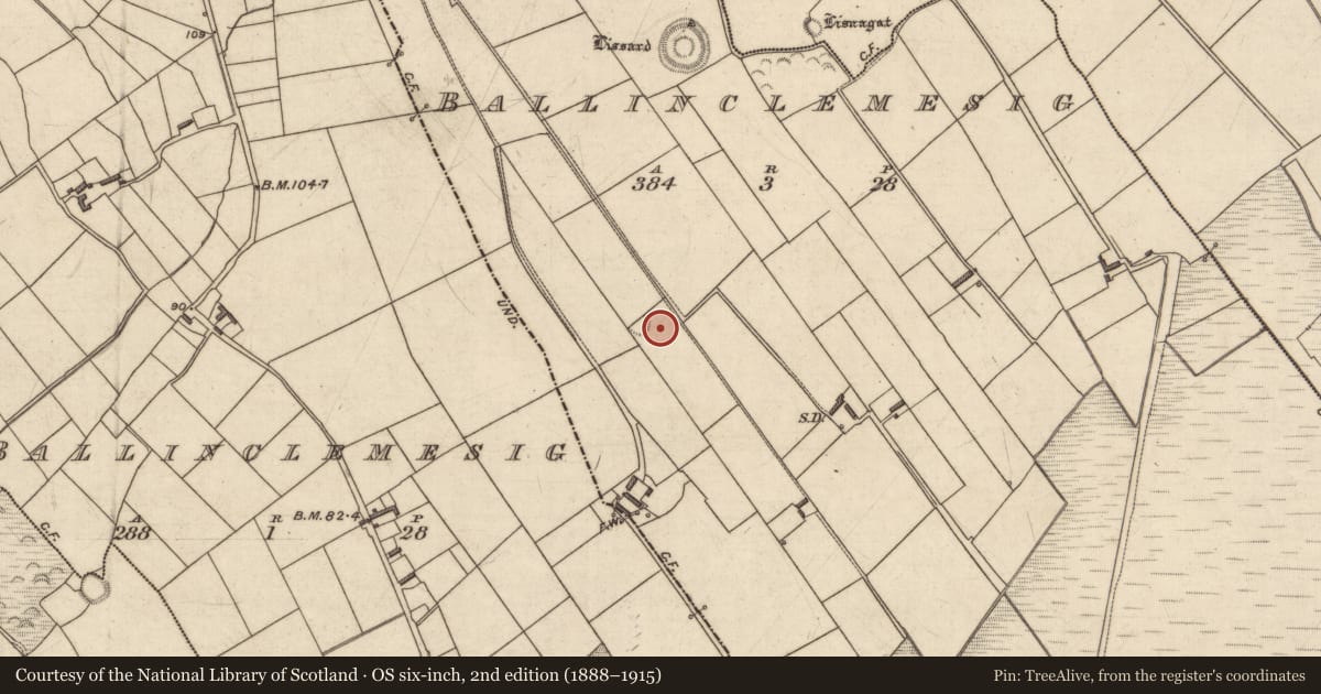 Ordnance Survey six-inch map, 2nd edition (1888–1915) covering the location of Ringfort - rath, Ballinclemesig, County Kerry, with a pin at the register's coordinates
