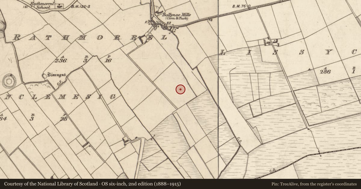 Ordnance Survey six-inch map, 2nd edition (1888–1915) covering the location of Ringfort - rath, Rathmorrel, County Kerry, with a pin at the register's coordinates