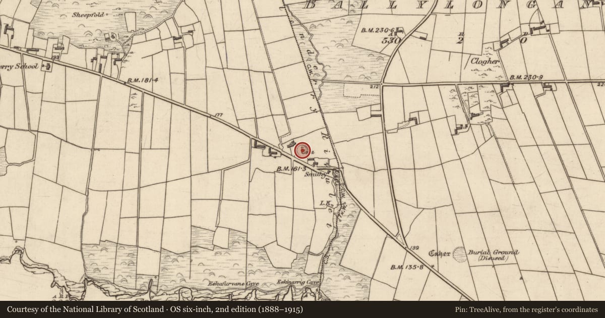 Ordnance Survey six-inch map, 2nd edition (1888–1915) covering the location of Ringfort - rath, Glenderry, County Kerry, with a pin at the register's coordinates